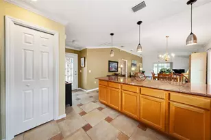 507 Paxville Pl, The Villages, FL 32162 - Photo 30