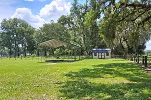 10628 Cr 771, Webster, FL 33597 - Photo 18