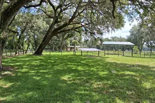 10628 Cr 771, Webster, FL 33597 - Photo 20