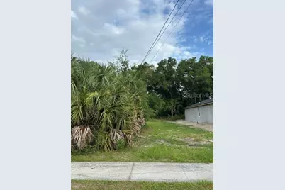 Palmetto Street, Eustis, FL 32726 - Photo 1