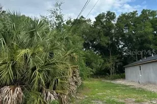Palmetto St, Eustis, FL 32726 - Photo 1
