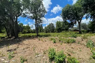 County Road 42, Umatilla, FL 32784 - Photo 1