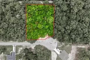 000 SW 172nd Loop, Ocala, FL 34473 - Photo 1