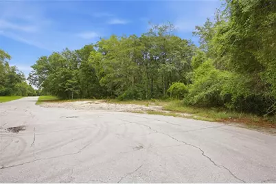 000 SW 172nd Loop, Ocala, FL 34473 - Photo 2