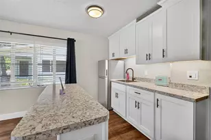 1012 S Baker St, Mount Dora, FL 32757 - Photo 20
