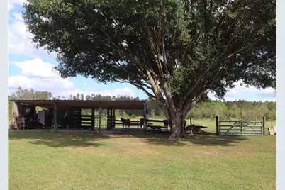 7083 Tall Pine Road, Polk City, FL 33868 - Photo 20