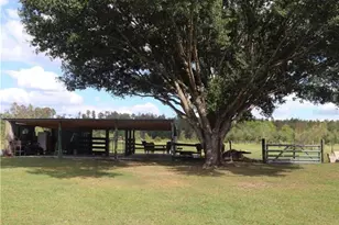 7083 Tall Pine Rd, Polk City, FL 33868 - Photo 20