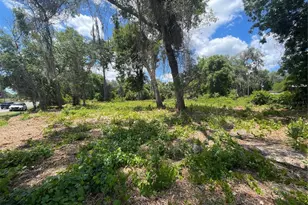 County Road 42, Umatilla, FL 32784 - Photo 1