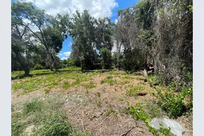 County Road 42, Umatilla, FL 32784 - Photo 2