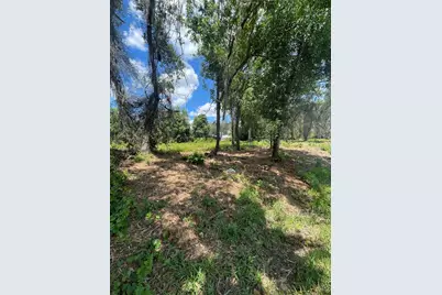 County Road 42, Umatilla, FL 32784 - Photo 4