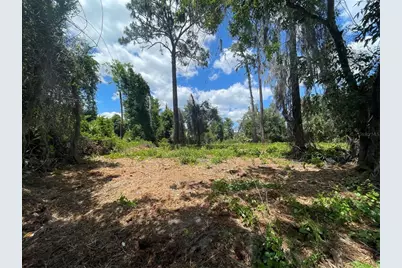 County Road 42, Umatilla, FL 32784 - Photo 2