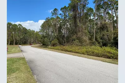 31004 Secretariat Trail, Leesburg, FL 34748 - Photo 4