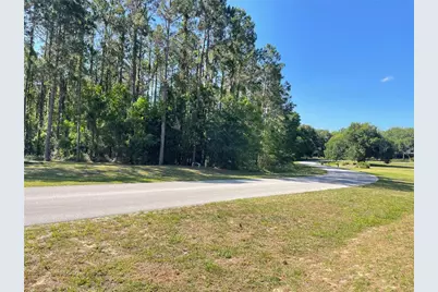 31004 Secretariat Trail, Leesburg, FL 34748 - Photo 6