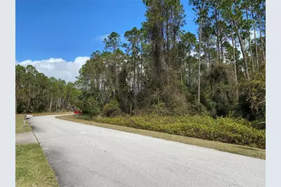 31004 Secretariat Trail, Leesburg, FL 34748 - Photo 2