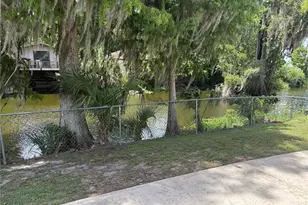 1141 Co Rd 457, Lake Panasoffkee, FL 33538 - Photo 10