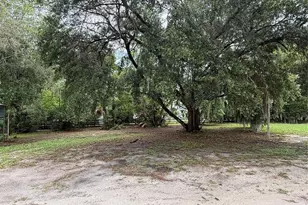 110 N Volusia Ave, Pierson, FL 32180 - Photo 32