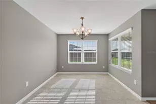 11113 Lammer Ln, Oxford, FL 34484 - Photo 10