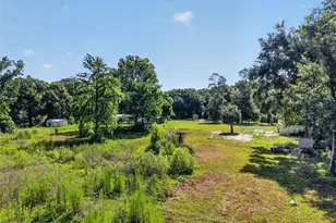 24301 Jefferson St, Astatula, FL 34705 - Photo 8