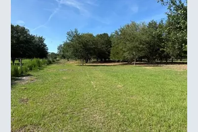 7214 Oil Well Road, Clermont, FL 34714 - Photo 4
