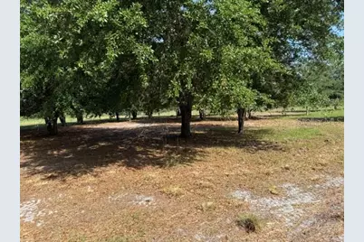 7214 Oil Well Road, Clermont, FL 34714 - Photo 6