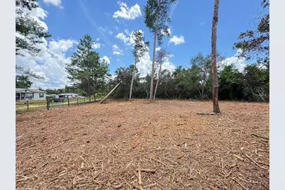 W Pine Street, Paisley, FL 32767 - Photo 4