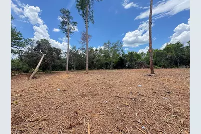 W Pine Street, Paisley, FL 32767 - Photo 6