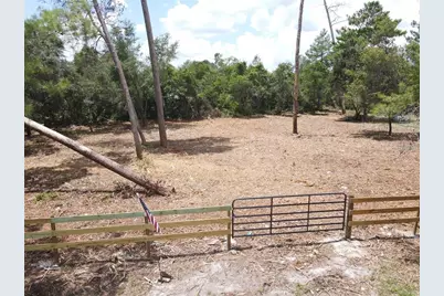 W Pine Street, Paisley, FL 32767 - Photo 2