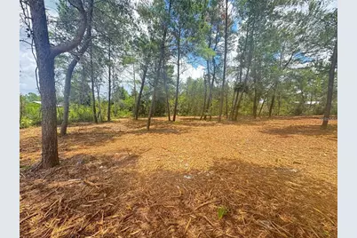 E Pine Street, Paisley, FL 32767 - Photo 4