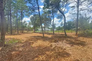 E Pine St, Paisley, FL 32767 - Photo 1
