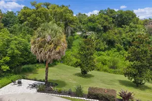 306 N Clayton St, Mount Dora, FL 32757 - Photo 66