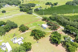 348 Cr 542E, Bushnell, FL 33513 - Photo 38