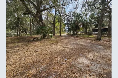 4210 NE 175th Street Road, Citra, FL 32113 - Photo 2