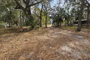 4210 NE 175th Street Rd, Citra, FL 32113 - Photo 2
