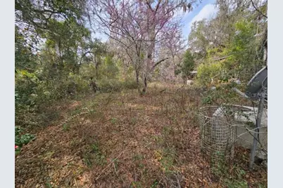 4210 NE 175th Street Road, Citra, FL 32113 - Photo 4