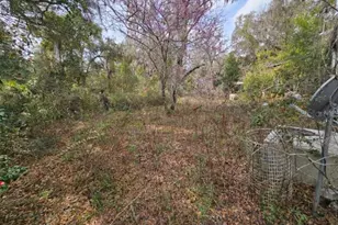 4210 NE 175th Street Rd, Citra, FL 32113 - Photo 4