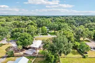 2936 Lake Joanna Dr, Eustis, FL 32726 - Photo 48