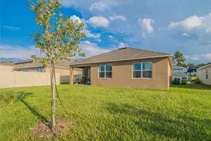 4885 Panga Ave, Mount Dora, FL 32757 - Photo 18