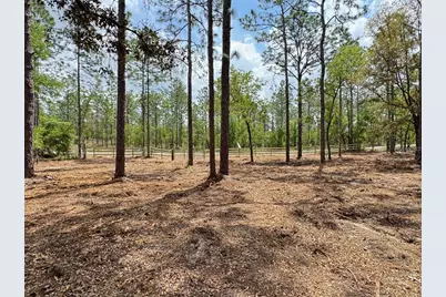 Sw Deerpark Heights Road, Dunnellon, FL 34431 - Photo 4