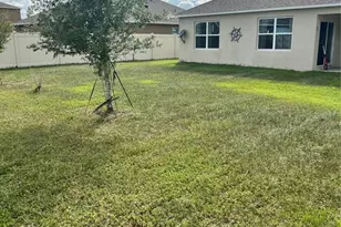 5240 Greenheart Ave, Mount Dora, FL 32757 - Photo 20