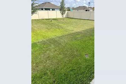5240 Greenheart Avenue, Mount Dora, FL 32757 - Photo 22