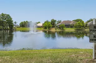 19512 Spring Oak Dr, Eustis, FL 32736 - Photo 70
