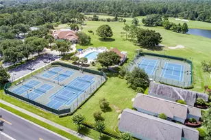 1005 St Ives Ct, Mount Dora, FL 32757 - Photo 36