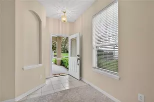 1005 St Ives Ct, Mount Dora, FL 32757 - Photo 4
