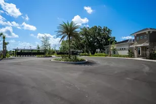3115 Canopy Oak Blvd, Wildwood, FL 34785 - Photo 74