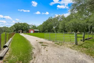 21301 Quail Hammock Ln, Groveland, FL 34736 - Photo 60