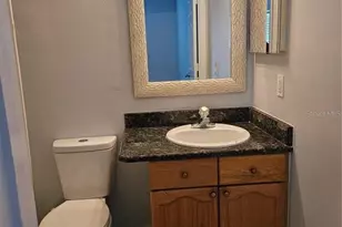 375 Willow Song Ct, Eustis, FL 32726 - Photo 8
