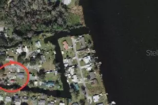919 Cr 482D, Lake Panasoffkee, FL 33538 - Photo 44