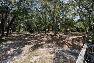 10645 SE 145th St, Summerfield, FL 34491 - Photo 2