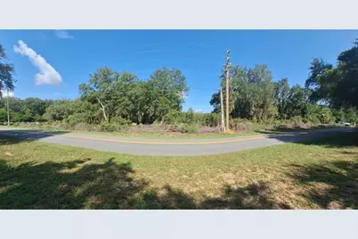 41739 Thomas Boat Landing Road, Umatilla, FL 32784 - Photo 1