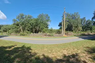 41739 Thomas Boat Landing Rd, Umatilla, FL 32784 - Photo 1